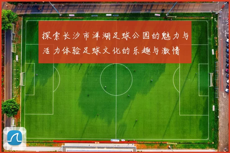 探索长沙市洋湖足球公园的魅力与活力体验足球文化的乐趣与激情