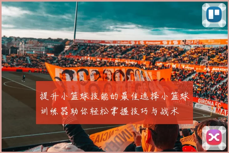 提升小篮球技能的最佳选择小篮球训练器助你轻松掌握技巧与战术