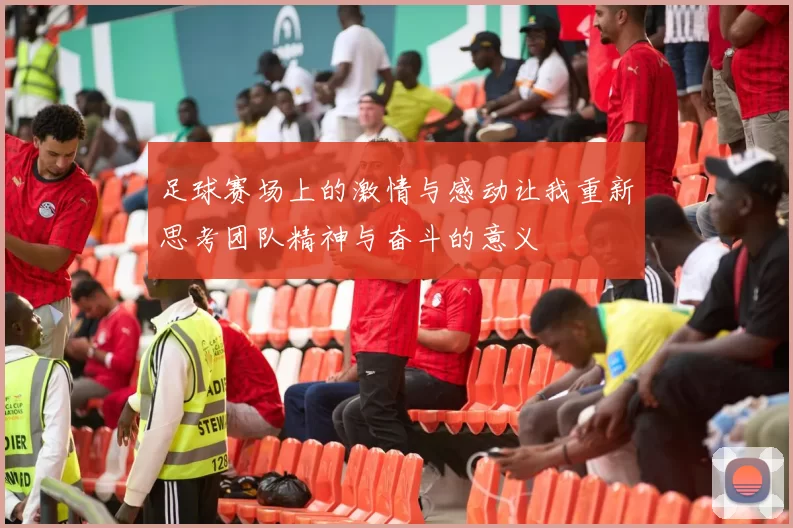 足球赛场上的激情与感动让我重新思考团队精神与奋斗的意义