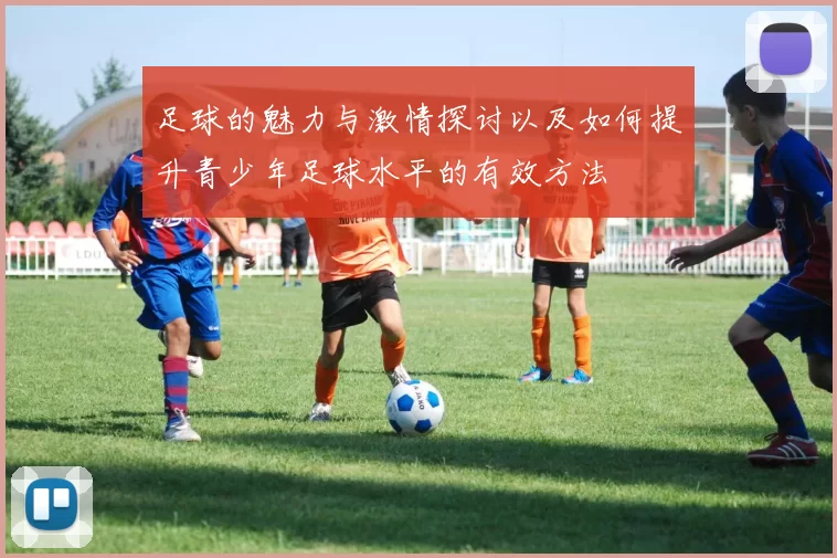 足球的魅力与激情探讨以及如何提升青少年足球水平的有效方法